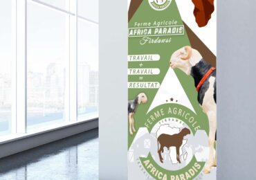 WhatsApp Image 2024-09-01 à 11.22.57_e585f5fa