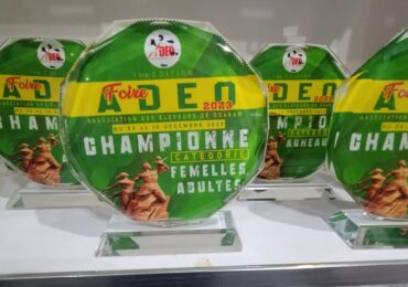 WhatsApp Image 2024-09-01 à 11.23.00_a3b28383